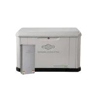 Briggs & Stratton 040782 PowerProtect 22kW Standby Generator w/ Dual 200-Amp/Split 400-Amp Automatic Transfer Switch
