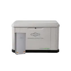 Briggs & Stratton 040782 PowerProtect 22kW Standby Generator w/ Dual 200-Amp/Split 400-Amp Automatic Transfer Switch