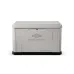 Briggs & Stratton 040782 PowerProtect 22kW Standby Generator w/ Dual 200-Amp/Split 400-Amp Automatic Transfer Switch