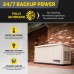 Champion 201597 10kW Standby Generator w/ 200-Amp Automatic Transfer Switch with fleX Technology
